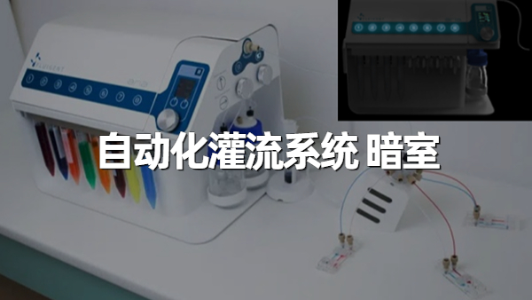 稿定设计-3.jpg
