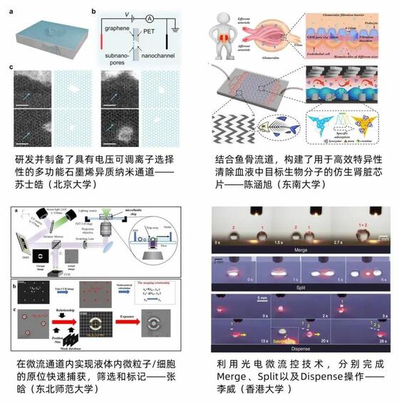 部分往届获奖作品.jpg