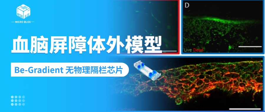 公众号封面.jpg