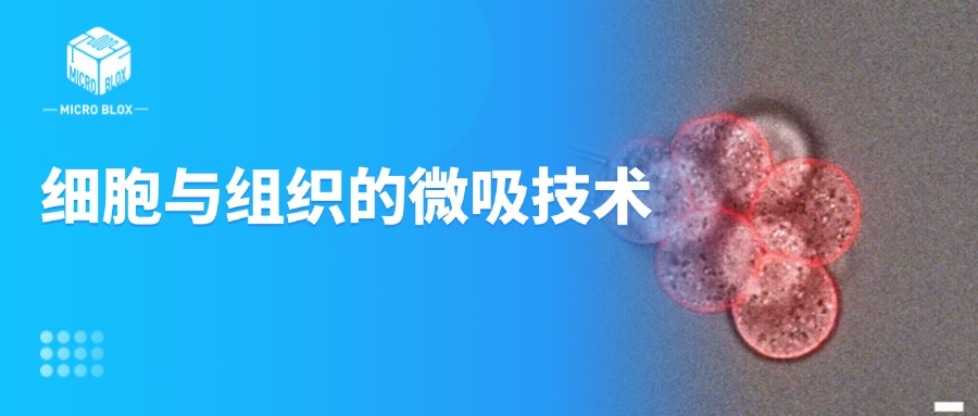 1749619767426832.jpg 公众号封面.jpg