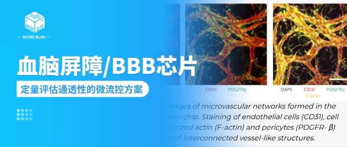 公众号封面.jpg