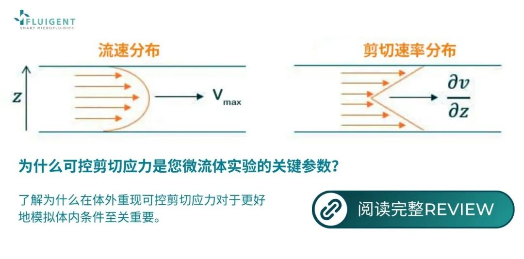 1775122324252596.jpg 1775122324252596.jpg