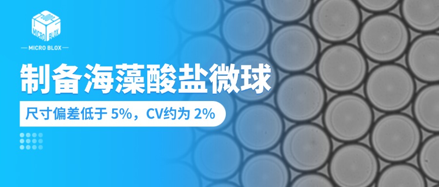 公众号封面.jpg