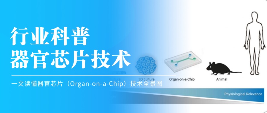公众号封面.jpg
