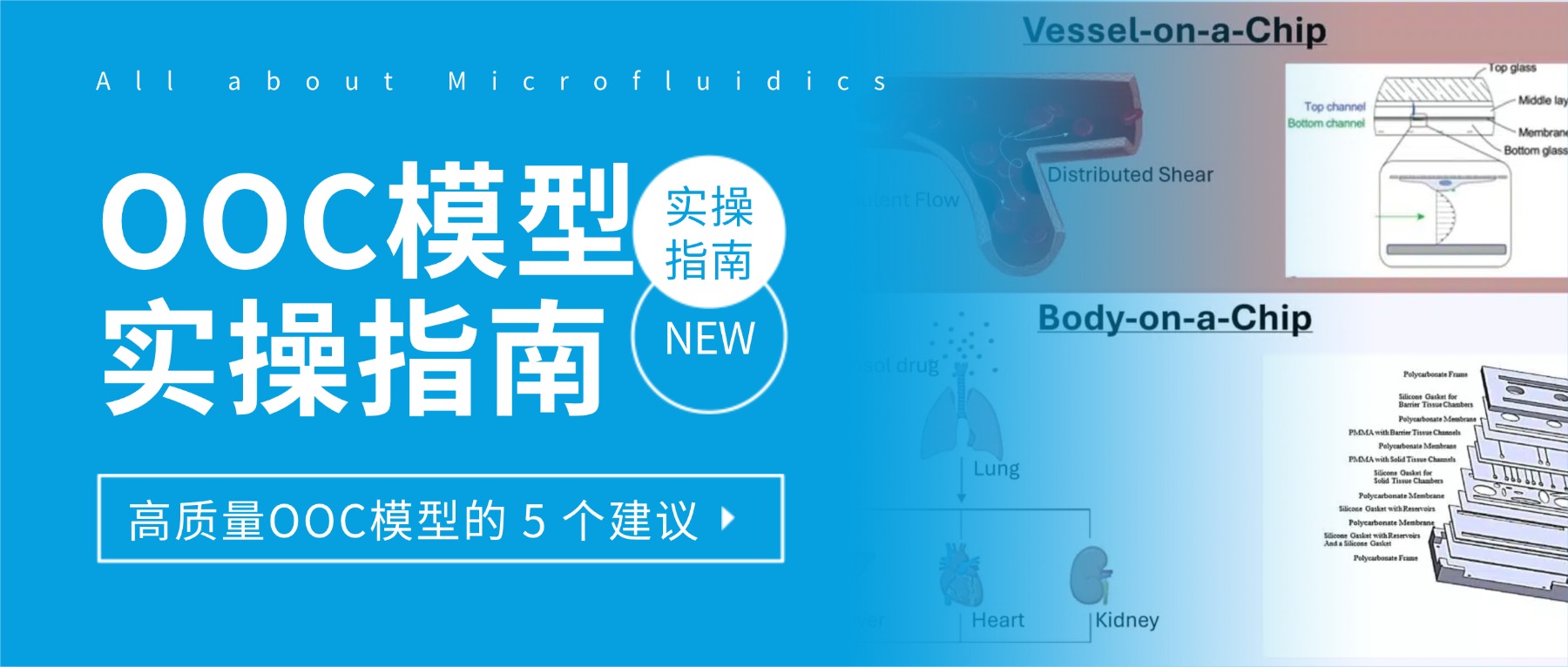 公众号封面.jpg
