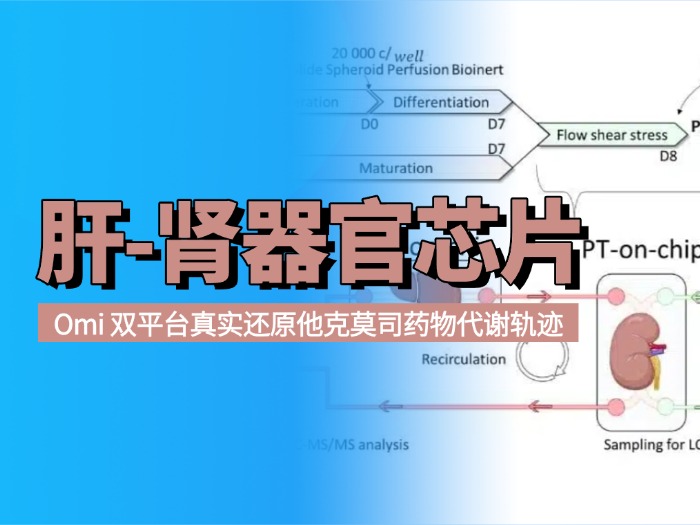 1786090588465948.jpg 官网封面.jpg