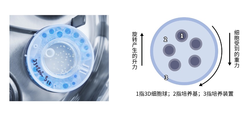 官网图ClinoStar2 (2).jpg