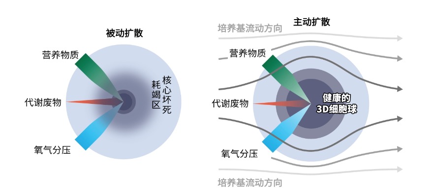 官网图ClinoStar2 (3).jpg